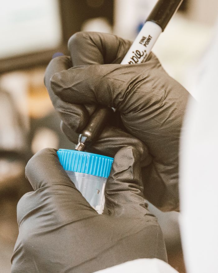 A scientist in gloves labels a sample in a laboratory, emphasizing precision and safety.